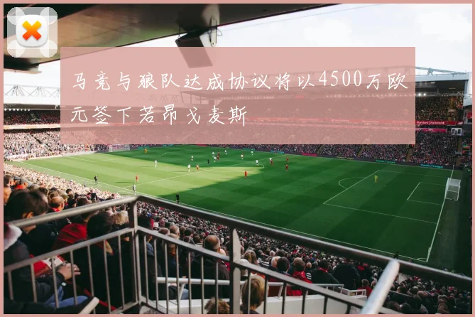 马竞与狼队达成协议将以4500万欧元签下若昂戈麦斯